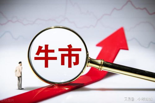 知識(shí)產(chǎn)權(quán)保護(hù)概念股蓄勢待發(fā) 政策風(fēng)口下，龍頭引領(lǐng)行業(yè)機(jī)遇